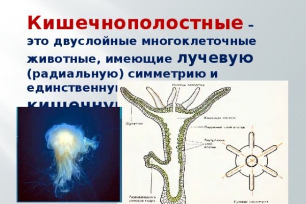 Скрытый интернет как войти