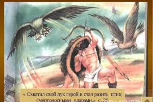 Кракен наркологический